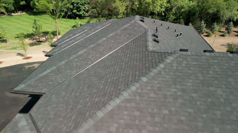 Best Solar Panel Roofing Installation  in Plummer, ID