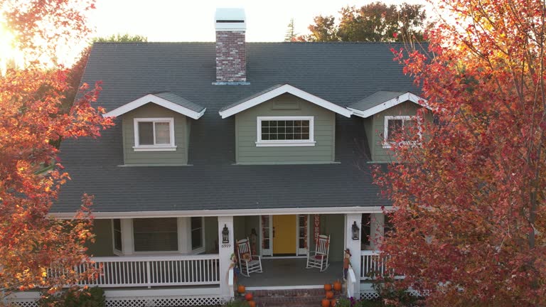 Best Roofing for New Construction  in Plummer, ID