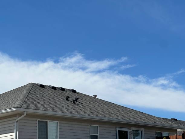 Best Roof Maintenance and Cleaning  in Plummer, ID